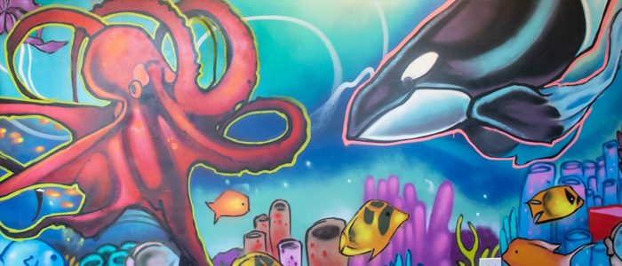 Dentist in Park Ridge