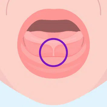 Dentist in Park Ridge